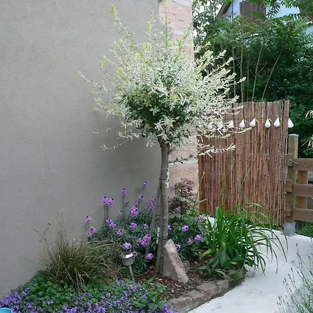 Le Du Moulin * קולמר