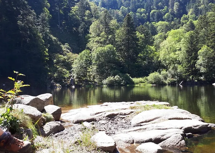 Le Du Moulin Apartment