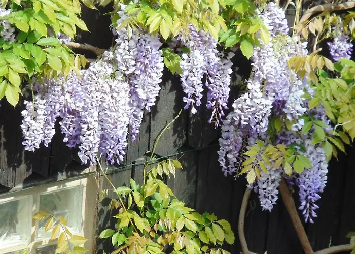 Apartment Le Du Moulin *