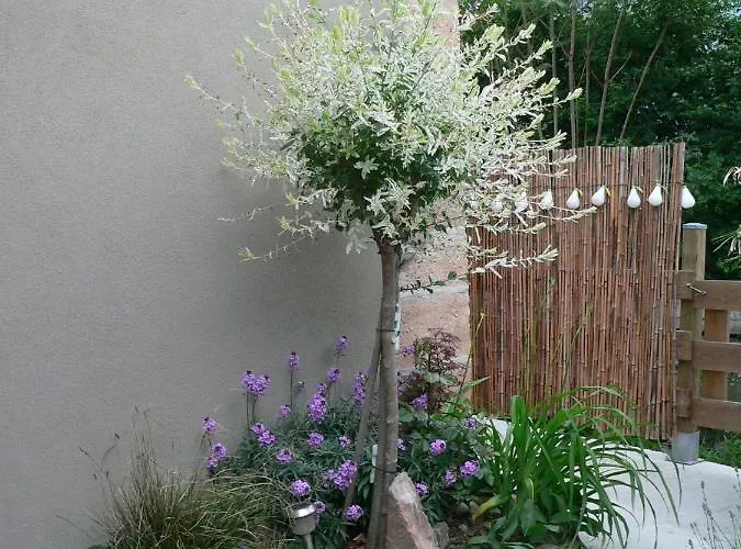 Le Du Moulin * Colmar